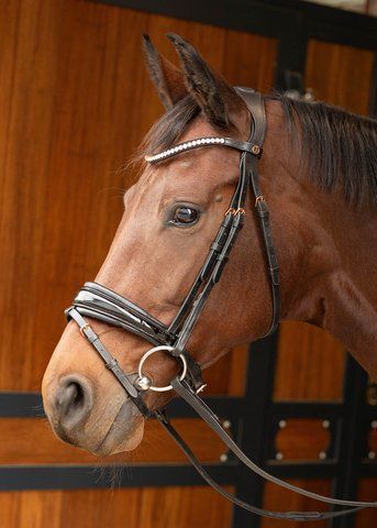 Вуздечка Rosegold Lacque II, Harry's Horse 28000044 фото