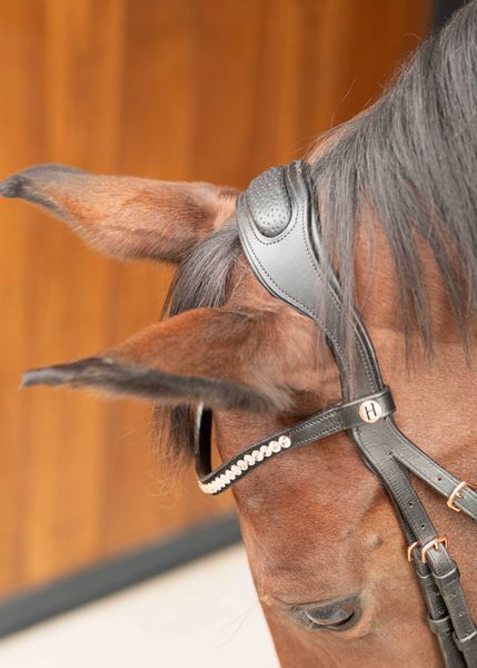 Вуздечка Rosegold Lacque II, Harry's Horse 28000044 фото