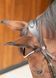 Вуздечка Rosegold Lacque II, Harry's Horse 28000044 фото 2
