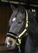 Недоуздок Lyrics Quotes, Harry's Horse 31000055п-3 фото 7