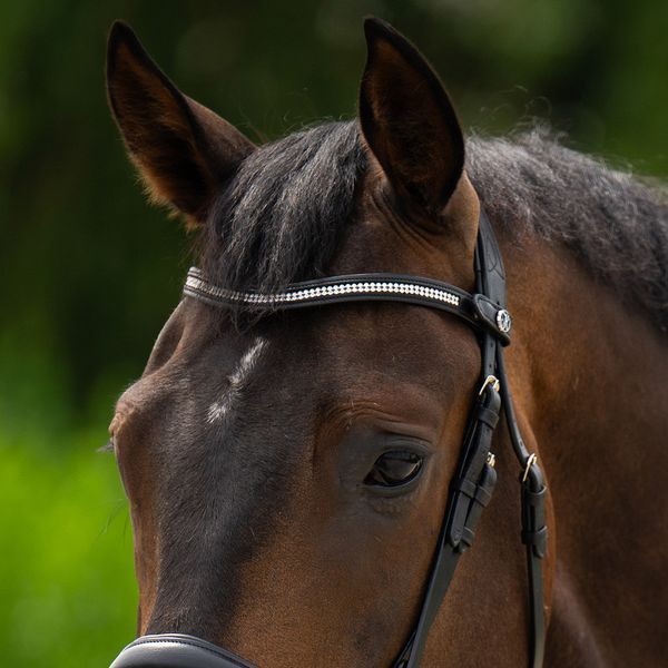 Налобний ремінь Crystal Wave для вуздечки, Harry's Horse 28100054 фото