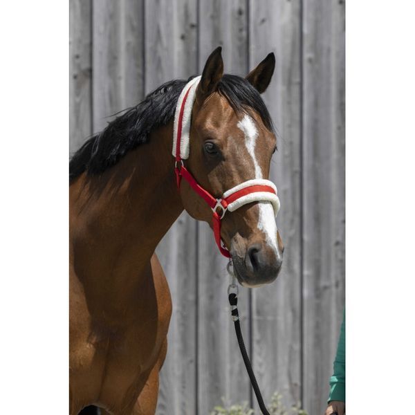 Недоуздок RIDING WORLD, Ekkia 510242-7 фото