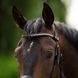 Налобний ремінь Crystal Wave для вуздечки, Harry's Horse 28100054 фото 1