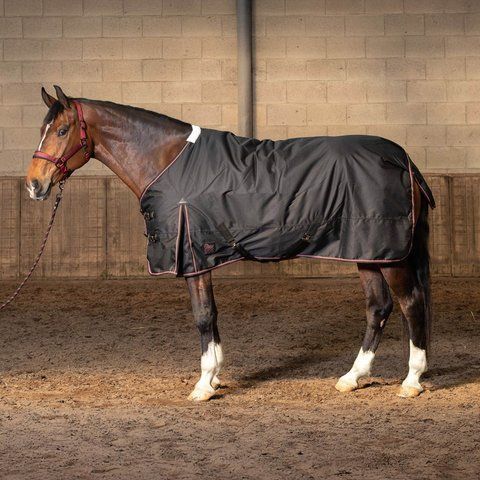 Попона Thor вулична 200г , Harry's Horse 32206924-1 фото