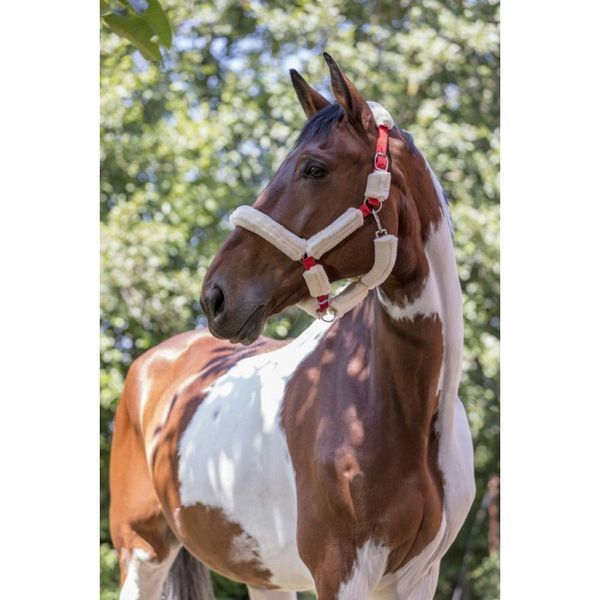 Недоуздок NORTON "Full mouton synth&eacute;tique" , Ekkia 510015 фото