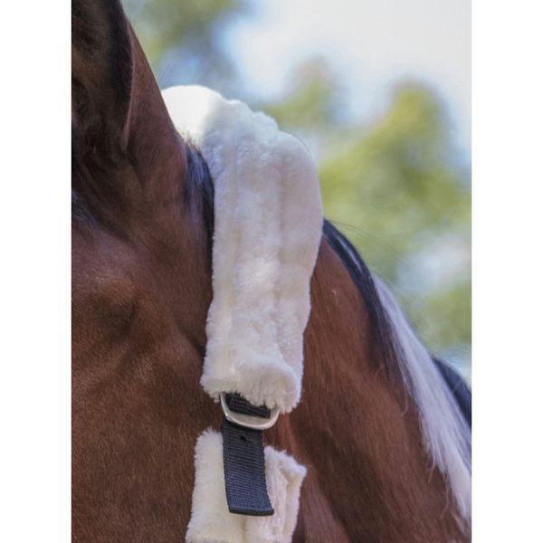 Недоуздок NORTON "Full mouton synth&eacute;tique" , Ekkia 510015 фото