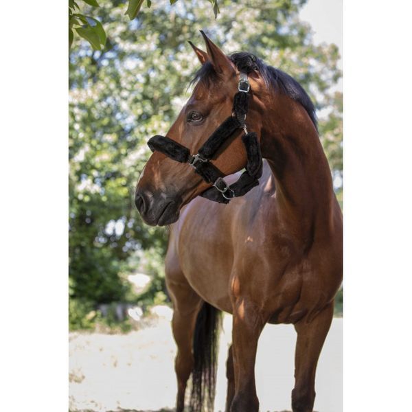 Недоуздок NORTON "Full mouton synth&eacute;tique" , Ekkia 510015 фото