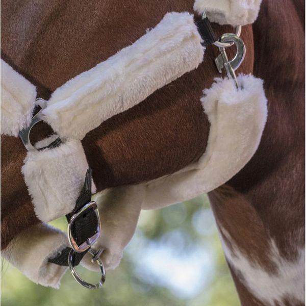 Недоуздок NORTON "Full mouton synth&eacute;tique" , Ekkia 510015 фото