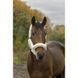 Недоуздок NORTON "Full mouton synth&eacute;tique" , Ekkia 510015 фото 1