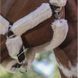 Недоуздок NORTON "Full mouton synth&eacute;tique" , Ekkia 510015 фото 5