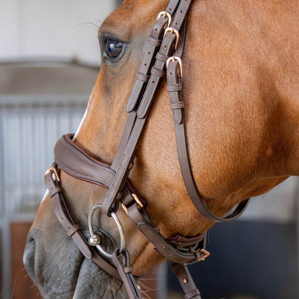 Вуздечка Soft Bombastic Crystals, Harry's Horse 28000079 фото