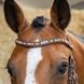 Вуздечка Soft Bombastic Crystals, Harry's Horse 28000079 фото 6