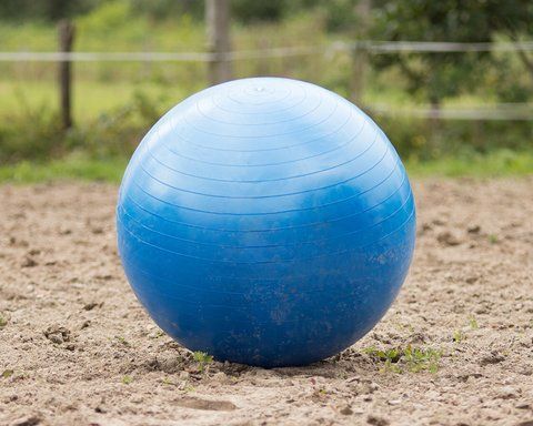 М'яч іграшка для коня Horse football, QHP 8005 фото