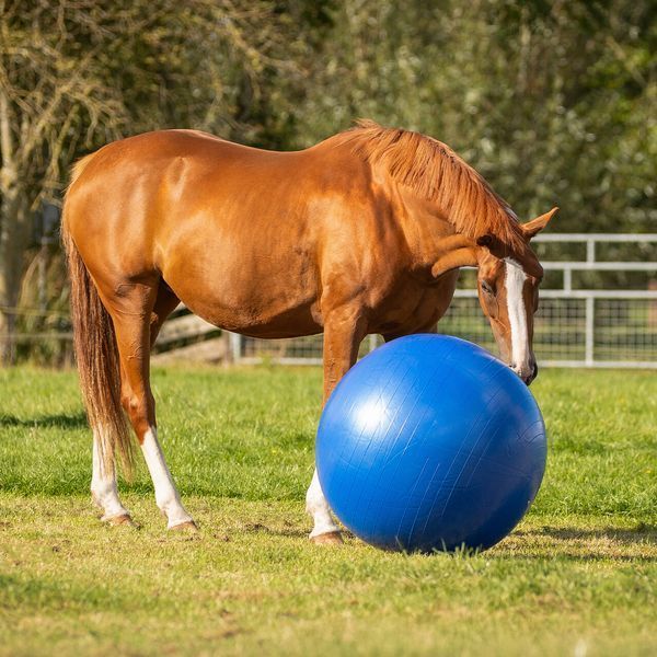 М'яч іграшка для коня Horse football, QHP 8005 фото