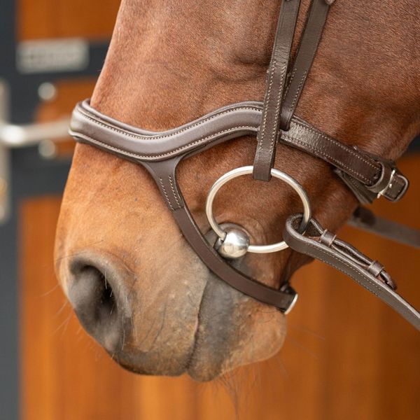 Вуздечка Anatomic, Harry's Horse 28000023 фото