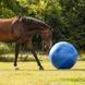 М'яч іграшка для коня Horse football, QHP 8005 фото 3