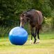 М'яч іграшка для коня Horse football, QHP 8005 фото 2