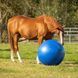 М'яч іграшка для коня Horse football, QHP 8005 фото 4