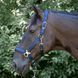 Недоуздок з чомбуром Denici Cavalli Purple Passion Satin, Harry's Horse 31002491 фото 1