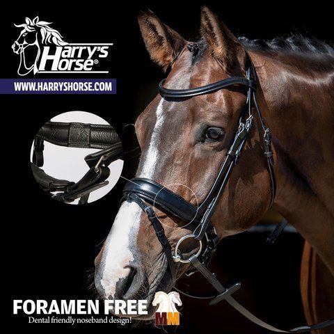 Вуздечка Foramen Free, Harry's Horse 28000048 фото
