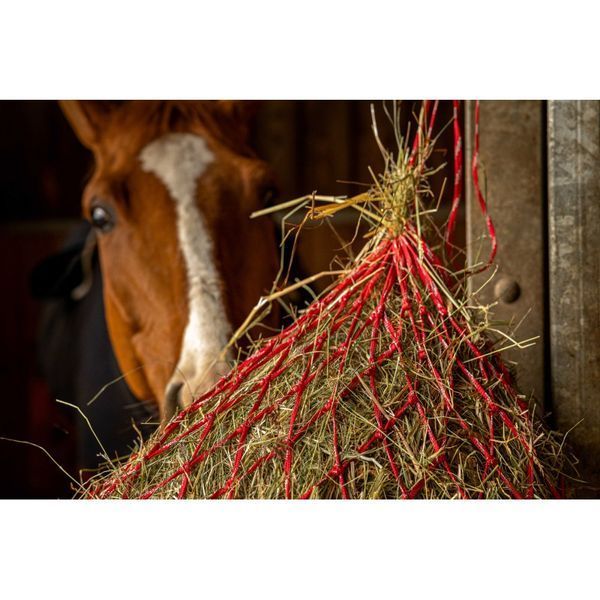 HIPPOTONIC -Zari, Ekkia 306835 фото