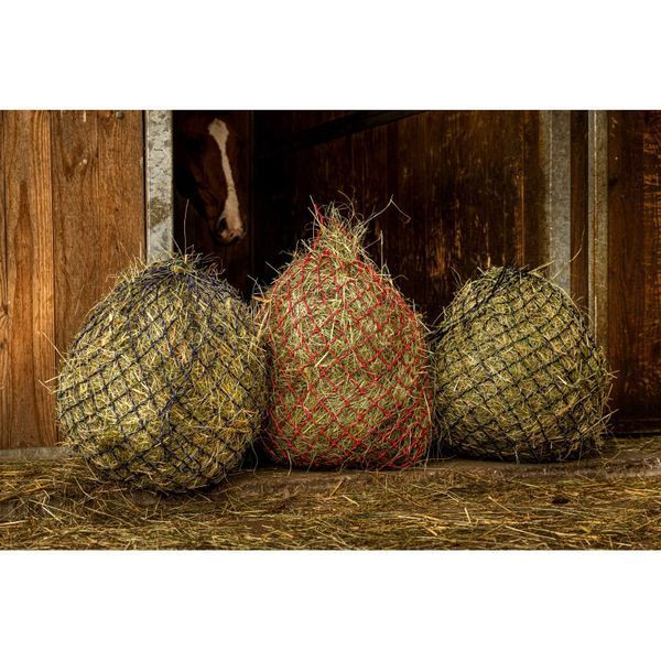 HIPPOTONIC -Zari, Ekkia 306835 фото
