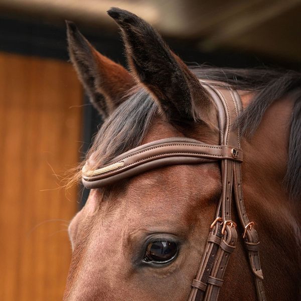 Вуздечка Soft Bombastic, Harry's Horse 28000069 фото