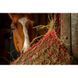 HIPPOTONIC -Zari, Ekkia 306835 фото 4