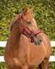 Недоуздок з чомбуром Dolci QHP 1095-1 фото 3