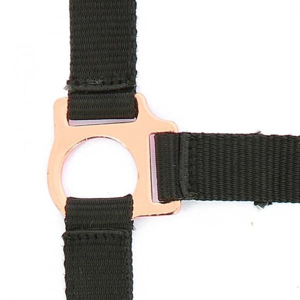 Недоуздок з чомбуром NORTON "ROSE GOLD&rdquo;, Ekkia 510497-1 фото