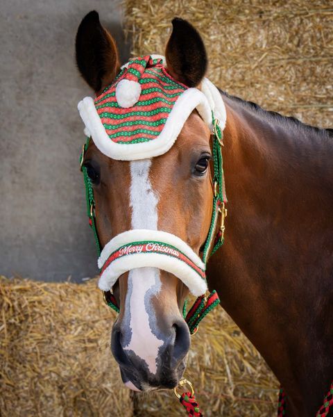 Недоуздок з чомбуром та вушками Christmas, Harry's Horse 31000056 фото