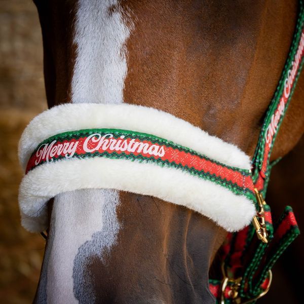 Недоуздок з чомбуром та вушками Christmas, Harry's Horse 31000056 фото