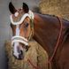 Недоуздок з чомбуром та вушками Christmas, Harry's Horse 31000056 фото 1