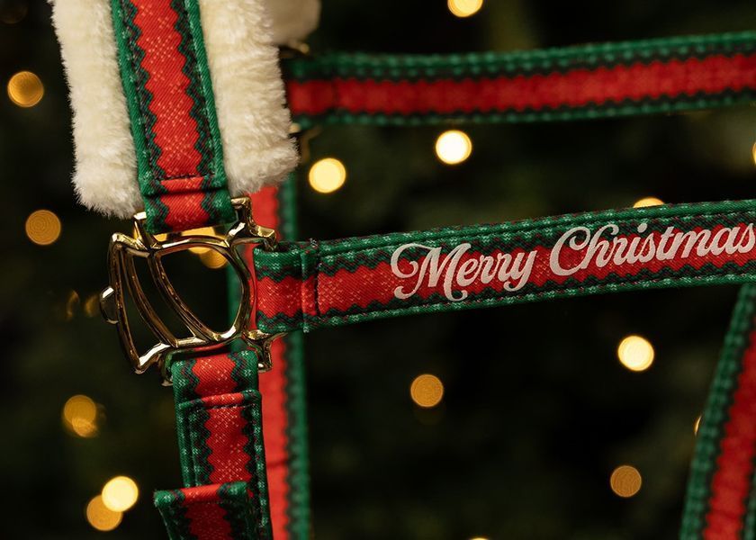 Недоуздок з чомбуром та вушками Christmas, Harry's Horse 31000056 фото