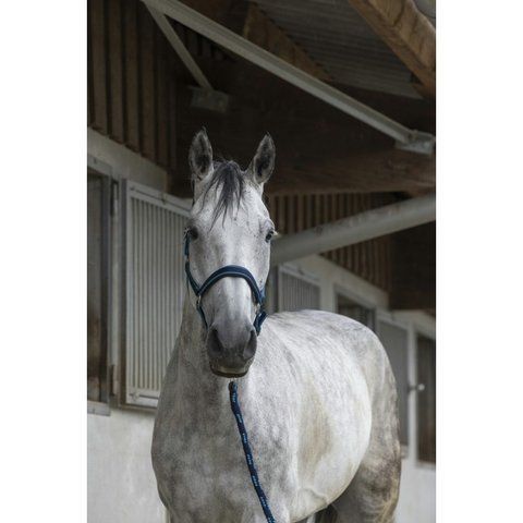 Недоуздок з чомбуром EQUITH&Egrave;ME "SATIN&Eacute;&rdquo;, Ekkia 510604 фото