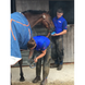Ласощі Horslyx Mini Garlic, Hofman animal care HORSL012 фото 3