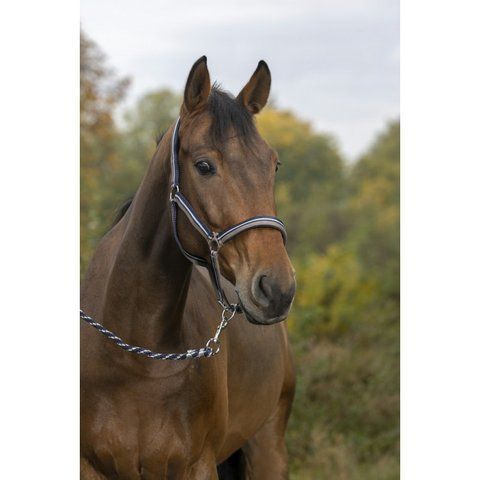 Недоуздок з чомбуром NORTON "BRILLANT&rdquo;, Ekkia 510608-3 фото