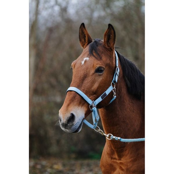 Недоуздок EQUITHEME "Spring" нейлоновий, Ekkia 510257-4 фото