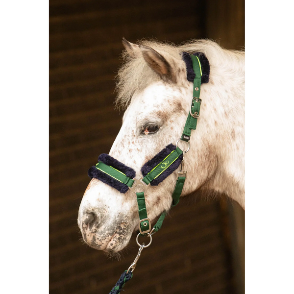 Недоуздок з чомбуром Soft Stout Lime, Harry's Horse 31001221 фото