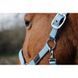 Недоуздок EQUITHEME "Spring" нейлоновий, Ekkia 510257-4 фото 9