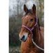 Недоуздок EQUITHEME "Spring" нейлоновий, Ekkia 510257-4 фото 4