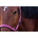 Недоуздок EQUITHEME "Spring" нейлоновий, Ekkia 510257-4 фото 6