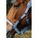 Недоуздок EQUITHEME "Spring" нейлоновий, Ekkia 510257-4 фото 3