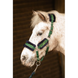 Недоуздок з чомбуром Soft Stout Lime, Harry's Horse 31001221 фото 2