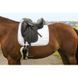 Вальтрап RIDING WORLD "GIRLY", Ekkia 204545 фото 2