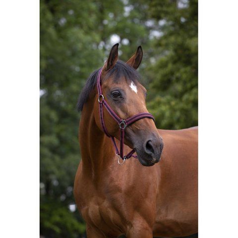 Недоуздок NORTON NYLON, Ekkia 510494 фото