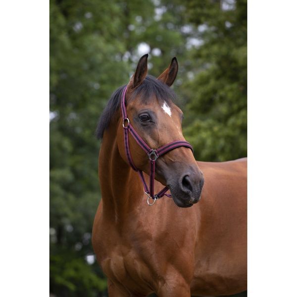 Недоуздок NORTON NYLON, Ekkia 510494 фото