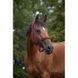 Недоуздок NORTON NYLON, Ekkia 510494 фото 3